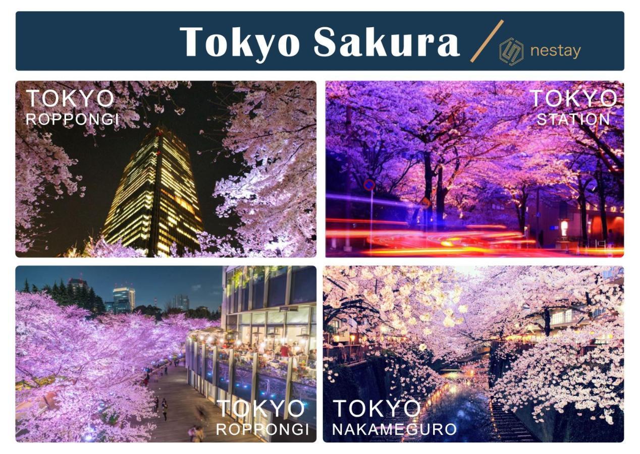 Nestay Inn Tokyo Otsuka 201 Kültér fotó